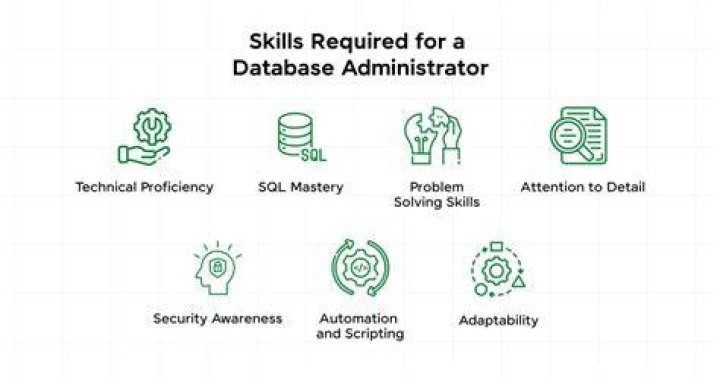 What are database skills?