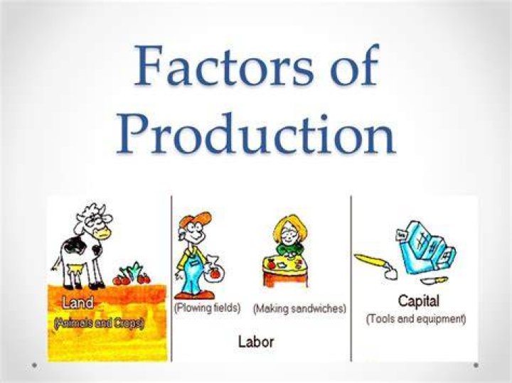 What are the five factors of production quizlet?